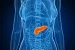 Pancreas