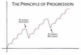 Periodization