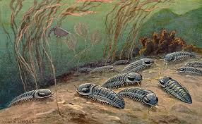 Phanerozoic