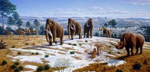 Pleistocene
