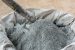 Portland cement