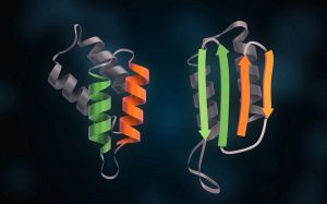 Prion