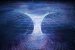 Quantum gravity