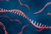 RNA