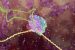 RNA splicing
