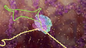 RNA splicing