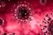 RNA virus