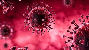RNA virus
