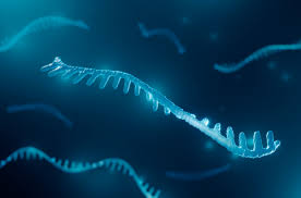 RNA world