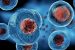 Stem cell