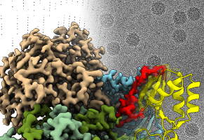 Structural biology
