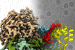 Structural biology