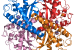 Superoxide dismutase