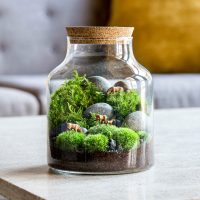 Terrarium