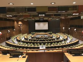 United Nations Trusteeship Council