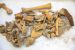 Zooarchaeology