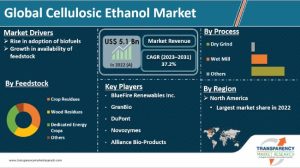 India and Cellulosic Ethanol [2G Ethanol]