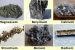 Alkaline earth metal
