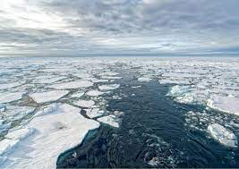Arctic