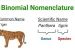 Binomial nomenclature
