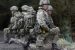 British Armed Forces