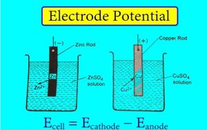 Electrode potential