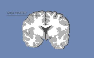 Grey matter