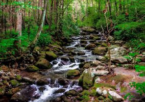 Natural resource