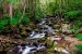 Natural resource