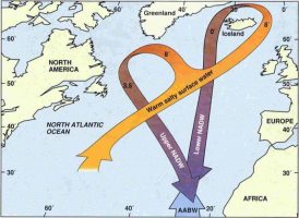 North Atlantic Deep Water