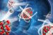 Nuclear fission