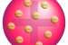 Plum pudding model