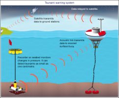 Tsunami Warning System