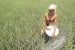 India, Kenya sign MoU in area of agriculture
