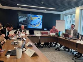 Issues around Management of Public Land Holdings