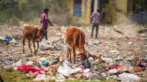 Food Wastage in India