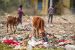 Food Wastage in India