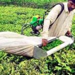 Union Commerce Ministry approves Revenue Insurance Scheme for Plantation Crops   
