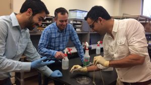 Scientists develop Thubber, stretchable rubber material with high thermal conductivity