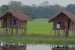 Assam Government launches SaCReD initiative to make Majuli carbon neutral island
