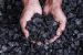 Environment Concerns of Pet Coke