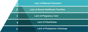 Maternal Mortality Rate in India: Issues and challenges