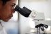Scientists develop solar-powered skin for prosthetic limbs