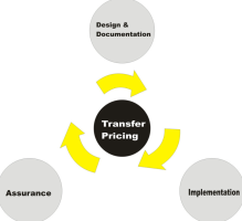 Policy Measures on Transfer Pricing