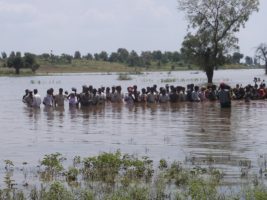 Narmada Action Plan