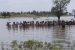 Narmada Action Plan