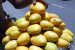 Banganapalle Mango of Andhra Pradesh gets GI Tag