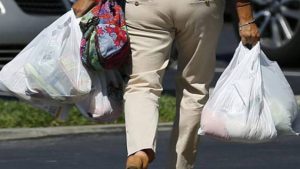 Goa Bans Thin Plastic Bags