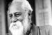 India to Organise Cultural Festival in Egypt to mark Tagore's 156th Birth Anniversary