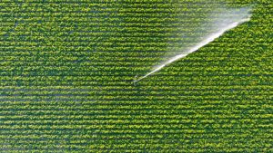 Long Term Irrigation Fund